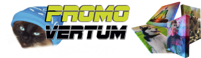 Logo Tisk na Platno SI