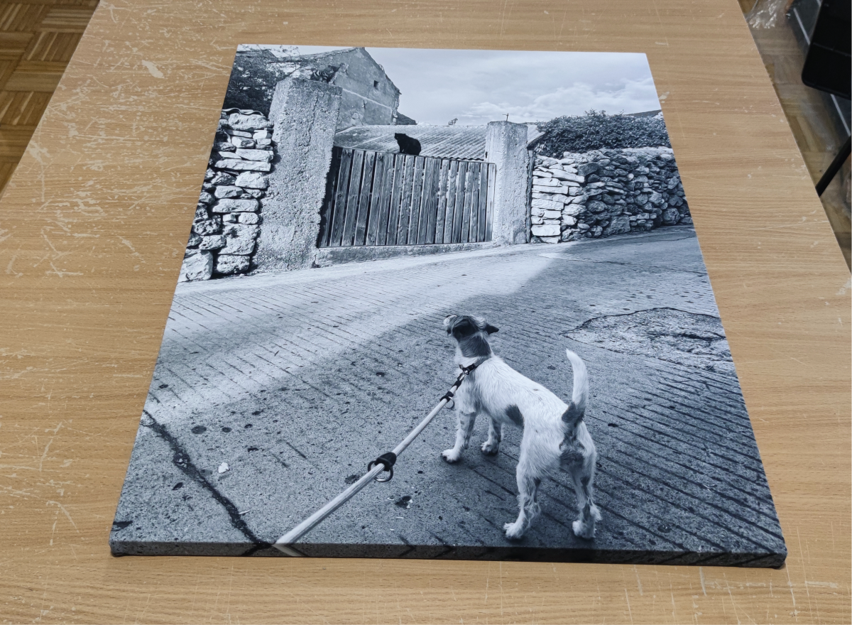 galerija-tisk-na-platno-canvas_10