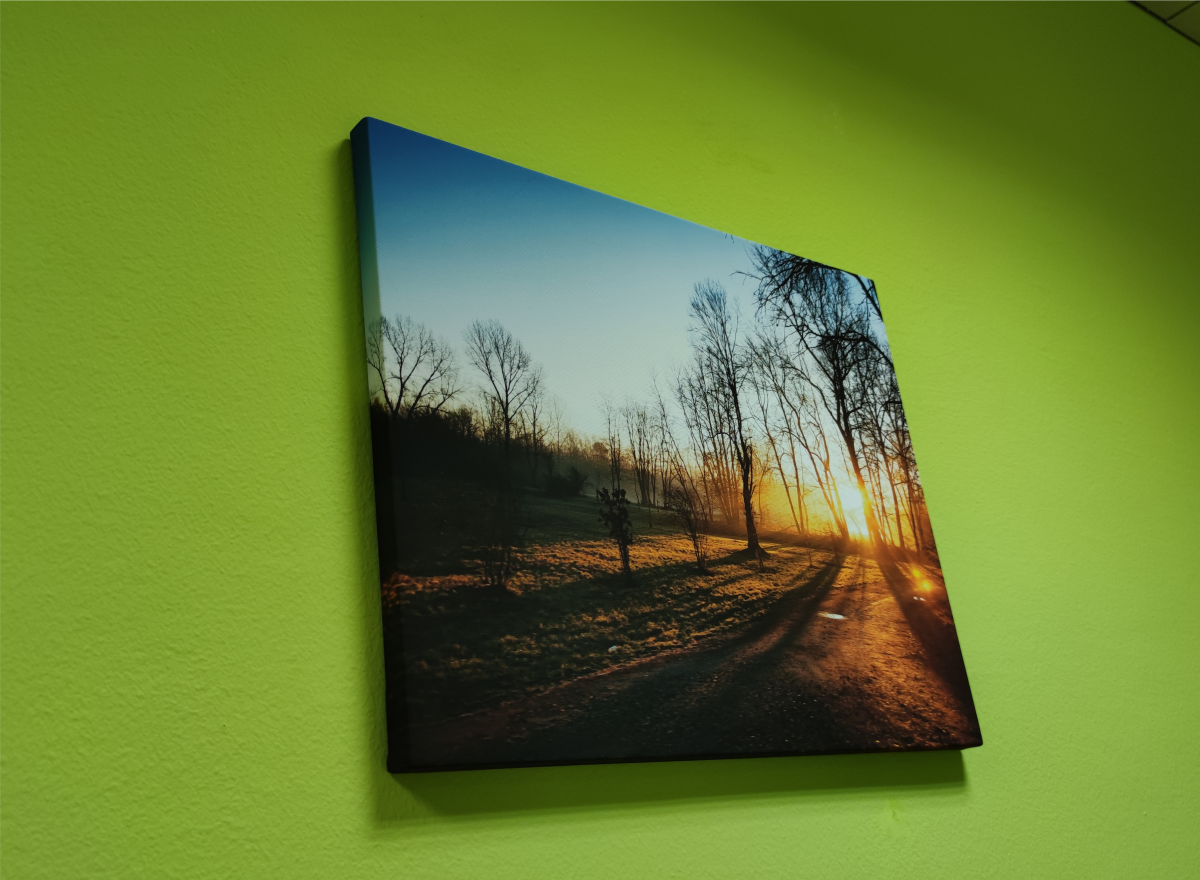 galerija-tisk-na-platno-canvas_13