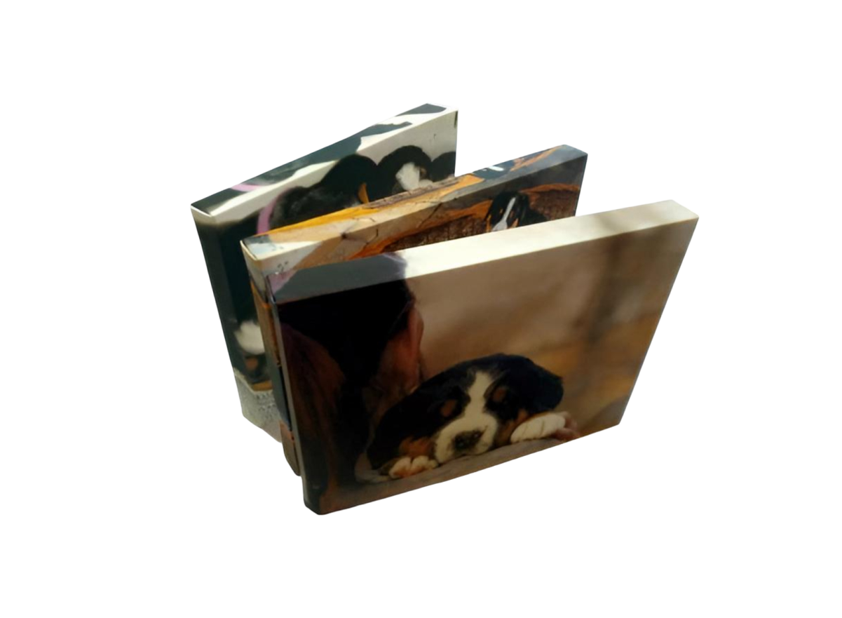 galerija-tisk-na-platno-canvas_4