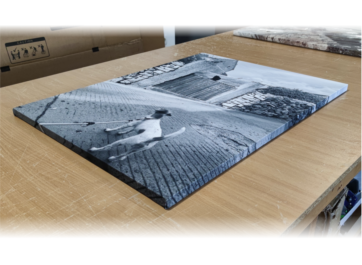 galerija-tisk-na-platno-canvas_9